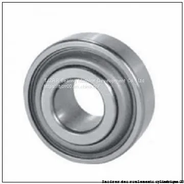 TIMKEN LSM100BR Insérer Des Roulements Cylindrique OD photo-2