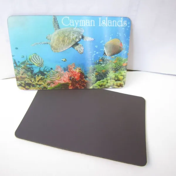 Souvenir Promotional Gifts 3D Lenticular Fridge Magnet photo-2
