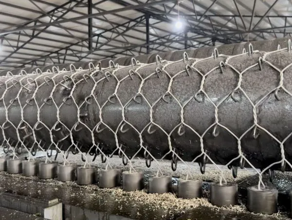 Hr50 Rockfall Netting Double Torsion Reinforced Mesh Wire Plain Weave Factory Direct for Slope Consolidation Work photo-6