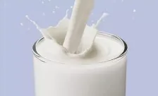 Tigernuts Protein Milk Production Line photo-6