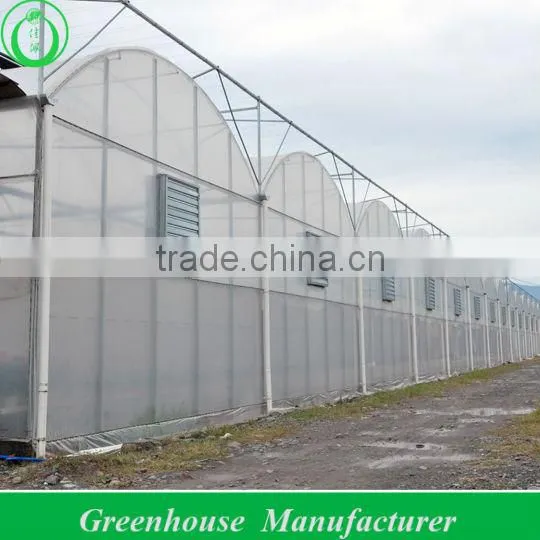 Greenhouse Products at Factory Price photo-2