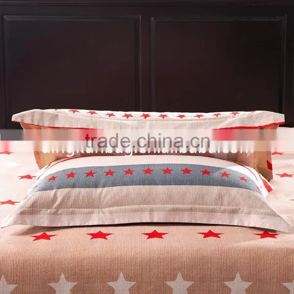 China Manufacture Customized Promotional Pillow Cover photo-3