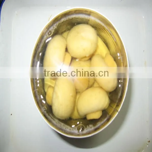 Canned Fresh Button Mushroom in Can photo-2
