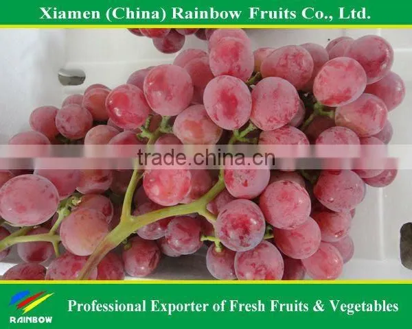 Global Grpaes/fresh Grapes Price photo-6