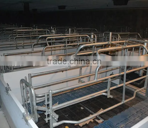 Pig Farrowing Crates for Piglets