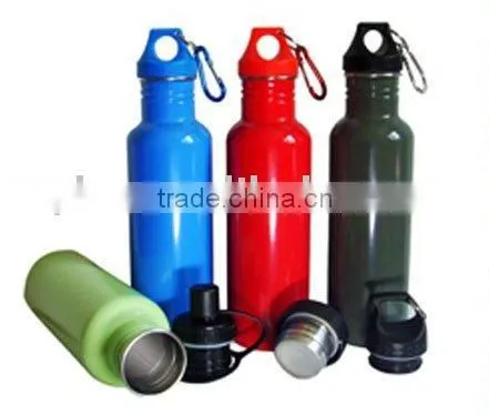 Stainless Steel Water Bottle