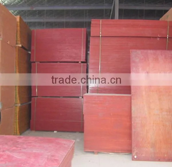 Two Times Hot Pressed Building Material Construction Plywood photo-4