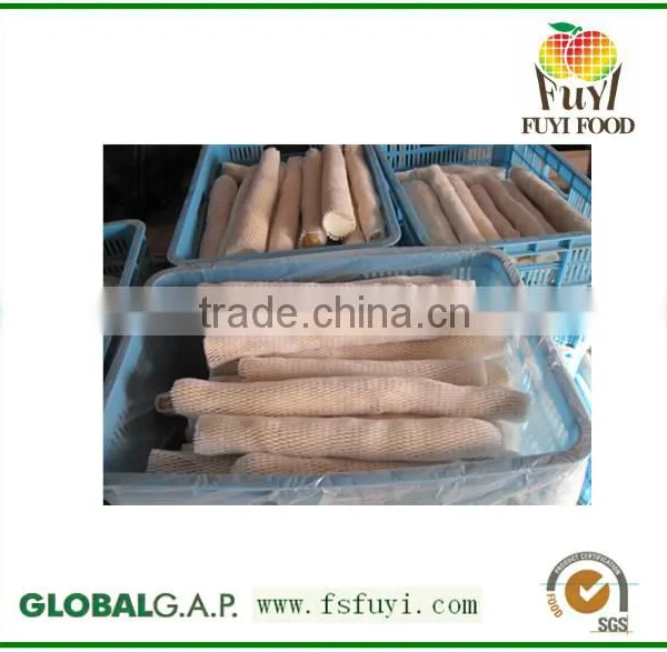 Diosgenin From Wild Yam/Yam