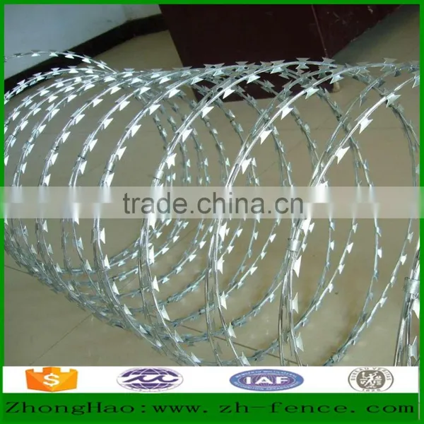 Hot Sale High Quality Prison Used Razor Barbed Wire Fence photo-3