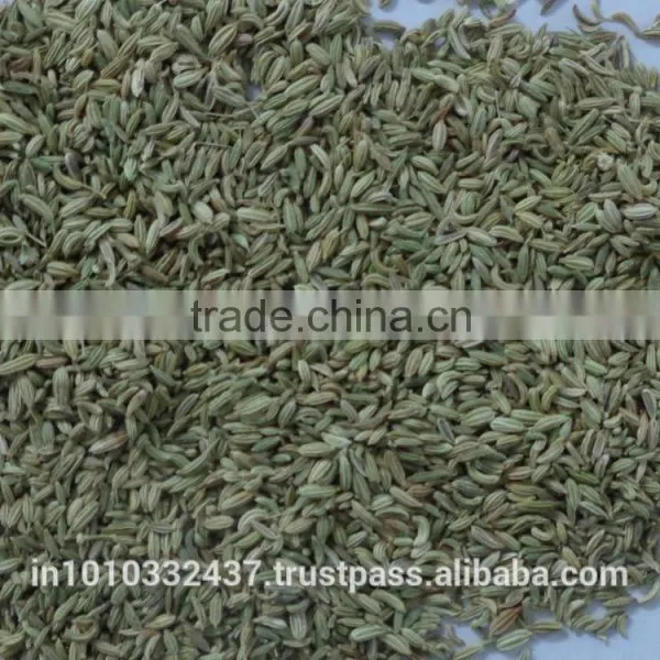 Fennel Seeds Green Colour photo-2