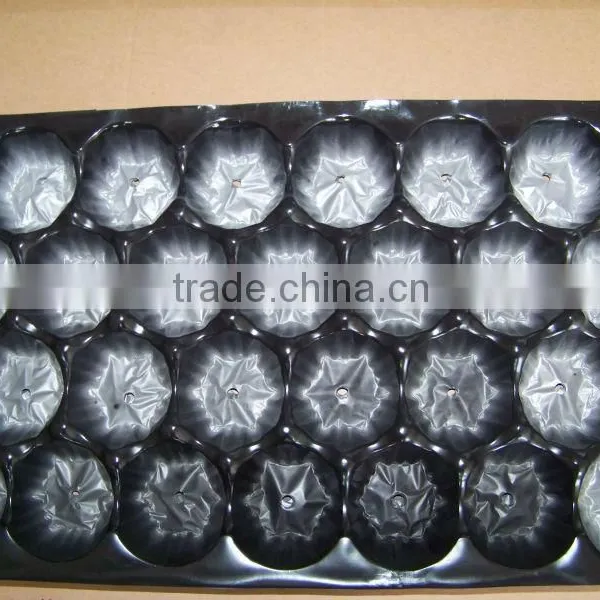 PP Punnet For Tomato,39*59cm