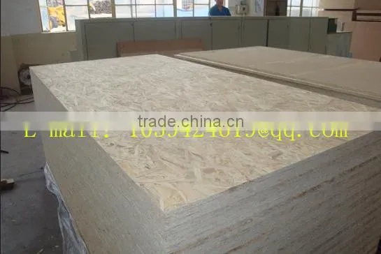 Discount 20mm E2 Osb photo-5