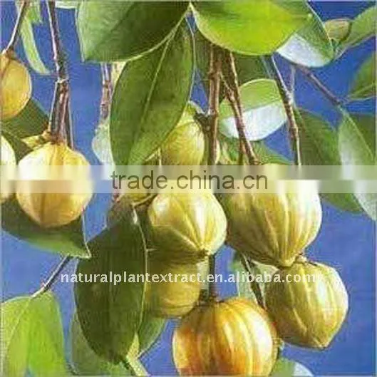 Hydroxy Citric Acid
