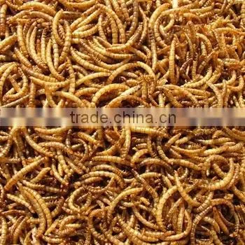 Dried Yellow Mealworm,Birds Food Aquarium Fish Food