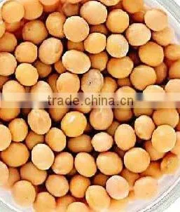 Non-Gmo Yellow Soybeans/soya Bean