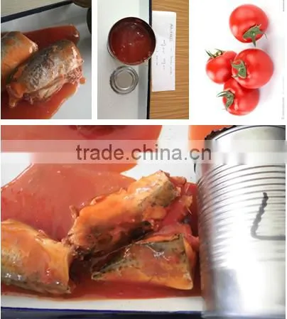 Canned mackerel Fish