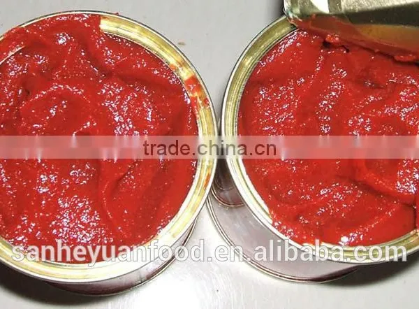 70g Good Taste Canned Tomato Paste photo-2