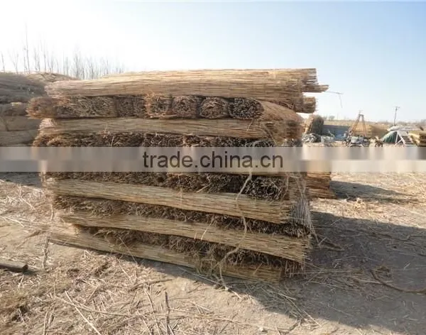 Electrical Drive Any Width Make by Order Reed Rod Screen Weaving Machine photo-2