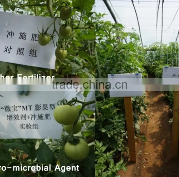 Agro-microbial Agent photo-5