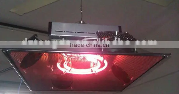 Automatic Chicken Brooder for Sale