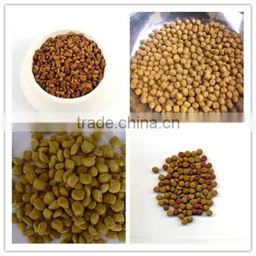 Jinan Dayi Dog Chewing Gum Snack Food Extruder Machine Process Line photo-2