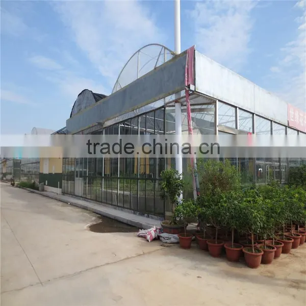 Film/Glass/PC Growing Greenhouse For Hydroponics NFT Lettuce photo-6