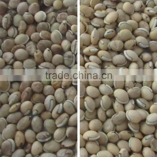 Pulses Color Sorter With High-resolution CCD Camera photo-4