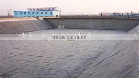 Waterproof Membrane PE Construction Film photo-3