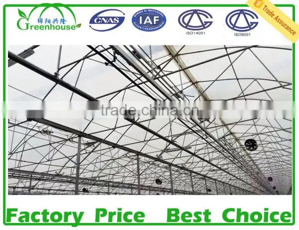 Agriculture Farming/ Greenhouse photo-3