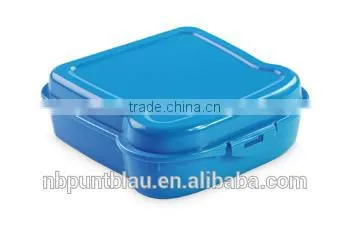 Plastic Lunch Box for Sandwich Take Away Cookie Box photo-5