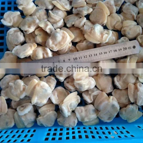 Frozen Boiled Baby Clam Meat photo-5