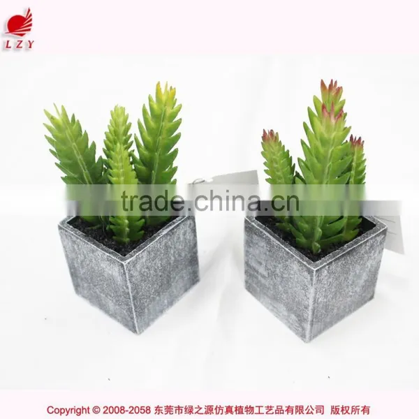 Artificial Succulent Combination Mini Succulent Potted High Quality Mini Artificial Catus photo-4
