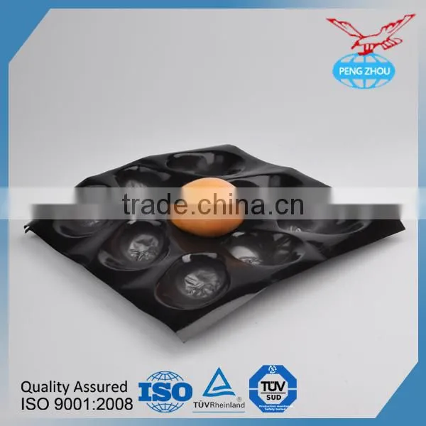Compartment Disposable Food Tray Fiber Tray For Apple photo-4