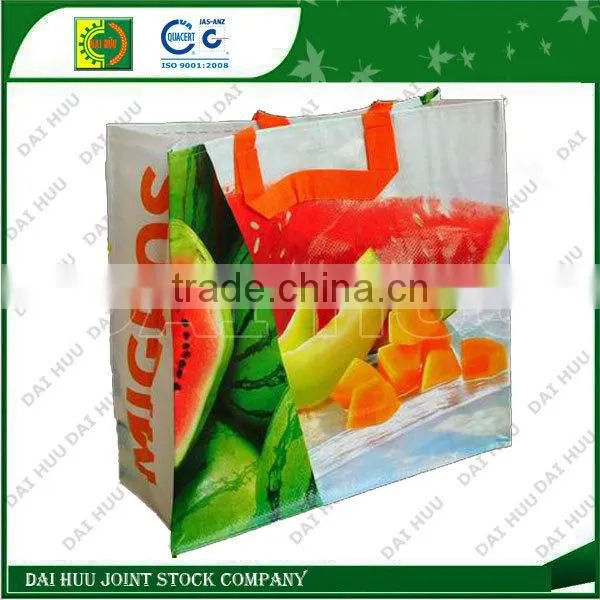 Various Designs Grocery PP Woven Bag for Shopping
