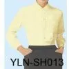 Shirt for Ladies (YLN-SH013)