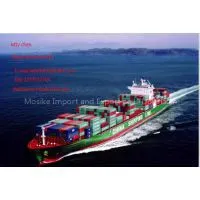 DDP FCL LCL Sea Freight Door to Door China to Russia Belaruis