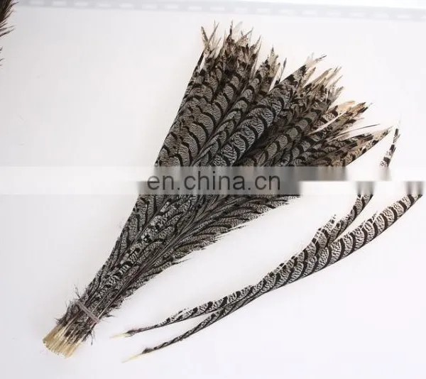 Best Quality 30-40cm Pheasant Feather photo-4