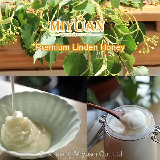 China Linden Honey Pure Raw Lime Honey in Bulk