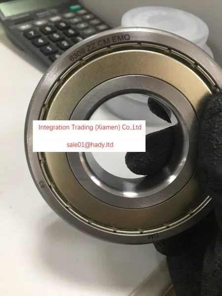 61813 16013 6013 6013 ZZ 6013 2RS 6213 6213 ZZ 6213 2RS 6313 6313 ZZ 6313 2RS 6413 Ball Bearing photo-4