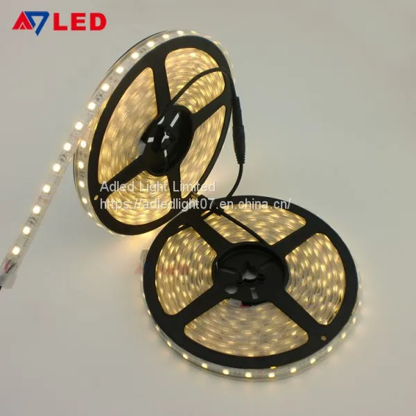 9 Years Factory High Lumen 24v 2000k 2200k 2400k Outdoor Silicone Tube 5050 Smd Led Strip Lights photo-5