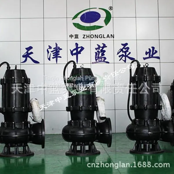 Submersible Sewage Pump photo-2