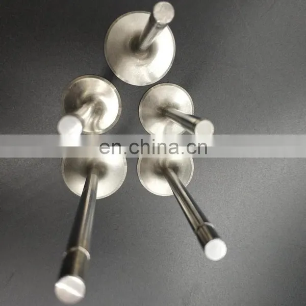 Intake 14711-PCB-000 and Exhaust 14721-PCB-000 Engine Valve For Honda F20B Custom Design Car Spare Parts photo-7