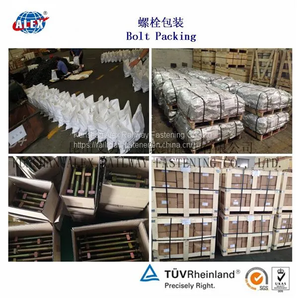 Segment Bolt With Nuts and Plain Washers for Undersea and Underground Tunnel Project's Fastening photo-3