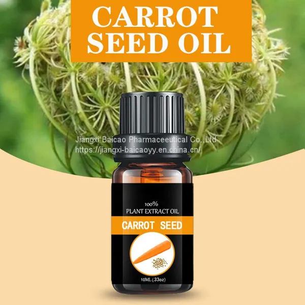 Bulk Sale Cosmetic Raw Material Carrot Seed Oil For Skin Whitehing