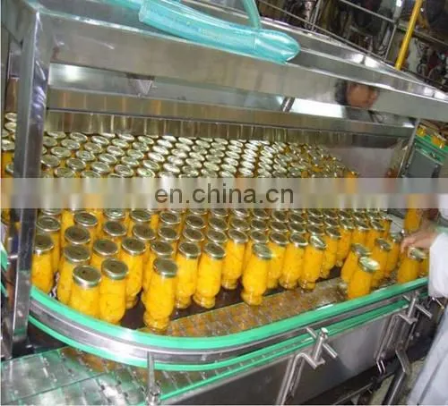 Canned Pineapple Processing Machine Canned Pineapple Slices Production Line photo-2
