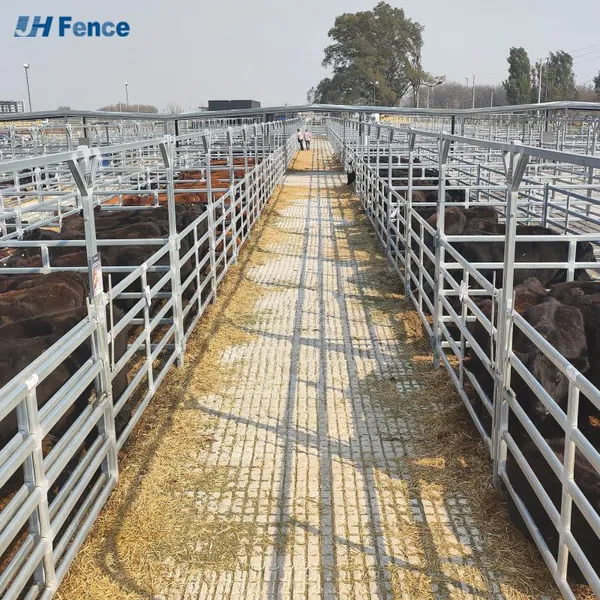 Modern Hot Dip Galvanized Iron Horse Corral Panels 6 Feet High Rodent Proof Powder Coated Pressure Timbers Fence Hardware photo-3