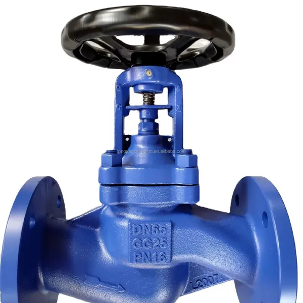 DIN Bellows Globe Valve GGG40 Pn25 End DN25 JL1040 Pn16 Bellows Flange Globe Valve photo-3