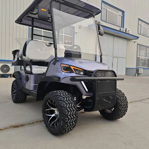 Latest Private - Customized Electric Golf Carts, Sourced From the Original Manufacturer for Export and Foreign Trade photo-3