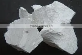 Best Price Lime Lump/Powder in Vietnam photo-2