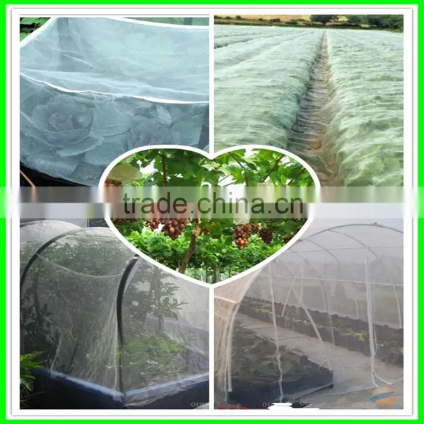 UV Resistant Netting for Fruit Files Anti Insect Net photo-5
